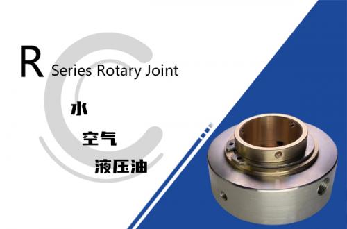 R型貫穿軸安裝旋轉接頭