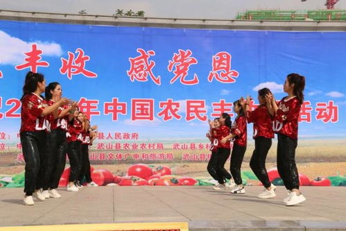 武山縣文化館 文藝盛宴慶豐收 教育咨詢(xún)惠民生